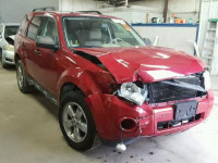 2011 FORD ESCAPE XLT 1FMCU0DGXBKB51228