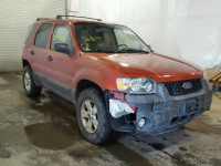 2007 FORD ESCAPE XLT 1FMYU93167KA91804