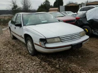 1993 Chevrolet Lumina Eur 2G1WN54T2P9193967
