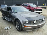 2005 FORD MUSTANG GT 1ZVFT82H355239813