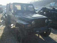 2002 JEEP WRANGLER S 1J4FA59S52P736767