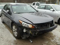 2010 HONDA ACCORD EX- 1HGCP2F83AA017681