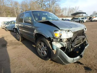 2006 FORD ESCAPE LIM 1FMYU04116KA08014