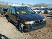 2002 BMW X5 3.0I 5UXFA53512LV70777