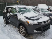 2015 FORD ESCAPE TIT 1FMCU9J9XFUA85994