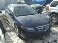 2006 ACURA 3.2 TL 19UUA662X6A042013