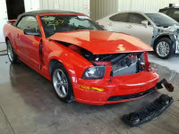 2006 FORD MUSTANG GT 1ZVHT85H165167581