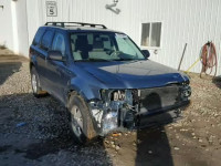 2012 FORD ESCAPE XLT 1FMCU0D71CKA14633