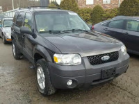 2007 FORD ESCAPE XLT 1FMYU93177KB98148