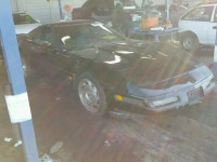 1991 CHEVROLET CORVETTE 1G1YY2386M5109959