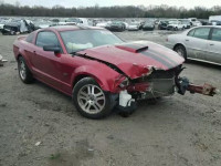 2006 FORD MUSTANG GT 1ZVHT82H065161422