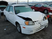 2003 HYUNDAI ACCENT KMHCG45CX3U493021