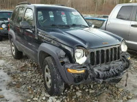 2003 JEEP LIBERTY SP 1J4GL48K63W711281