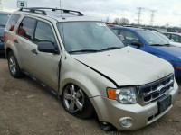 2011 FORD ESCAPE XLT 1FMCU0D78BKA91322