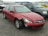 2007 HONDA ACCORD EX 1HGCM66567A057705