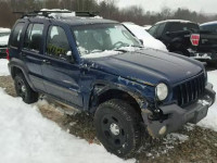 2002 JEEP LIBERTY SP 1J4GL48192W227191