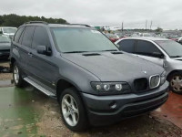 2002 BMW X5 3.0I 5UXFA53562LP46450