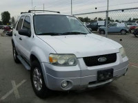 2007 FORD ESCAPE XLT 1FMCU03187KA64965