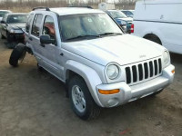 2002 JEEP LIBERTY LI 1J4GL58K42W246150