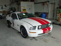 2005 FORD MUSTANG GT 1ZVFT82H555114358