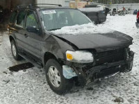 2007 FORD ESCAPE XLS 1FMYU92Z07KA03563