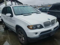 2005 BMW X5 3.0I 5UXFA13505LY17932