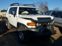 2010 TOYOTA FJ CRUISER JTEBU4BF4AK076604