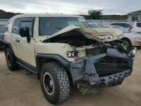 2010 TOYOTA FJ CRUISER JTEBU4BF8AK073480