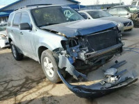 2011 FORD ESCAPE XLT 1FMCU0DG3BKC66625