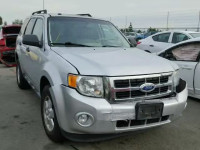 2011 FORD ESCAPE XLT 1FMCU0DG4BKC12783