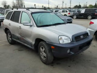 2003 HYUNDAI SANTA FE G KM8SC13D03U464080