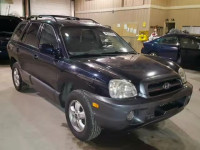 2005 HYUNDAI SANTA FE G KM8SC13E15U000677