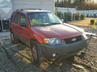 2007 FORD ESCAPE XLT 1FMYU03147KA06955