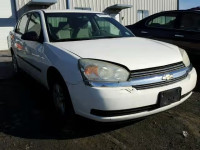 2005 CHEVROLET MALIBU 1G1ZS52F95F334900