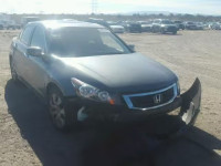 2010 HONDA ACCORD EX- 1HGCP2F83AA032536