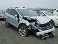 2013 FORD ESCAPE TIT 1FMCU9J95DUA93482