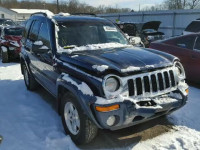 2004 JEEP LIBERTY LI 1J4GL58K94W222364