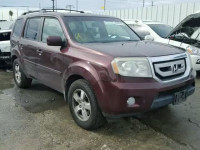 2009 HONDA PILOT EXL 5FNYF48569B024293