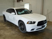 2014 DODGE CHARGER PO 2C3CDXAT8EH368100