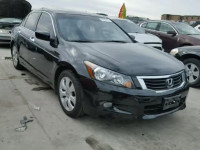 2010 HONDA ACCORD EX- 1HGCP3F83AA024006