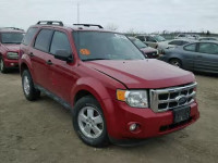 2011 FORD ESCAPE XLT 1FMCU9D75BKB34390