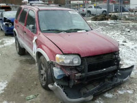 2007 FORD ESCAPE XLT 1FMCU93157KA39994