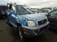 2004 HYUNDAI SANTA FE G KM8SC13E04U720938