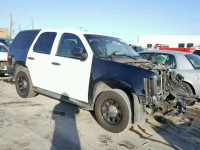 2013 CHEVROLET TAHOE POLI 1GNLC2E02DR265441