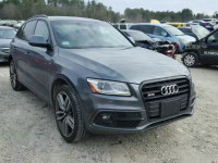 2015 AUDI SQ5 PREMIU WA1CGAFP4FA097610