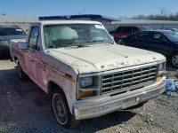 1981 FORD F100 1FTCF10E2BNA87029