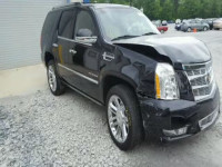 2013 CADILLAC ESCALADE P 1GYS4DEF2DR212699