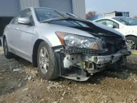 2011 HONDA ACCORD LXP 1HGCP2F40BA010119