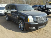 2013 CADILLAC ESCALADE P 1GYS4CEF1DR162758