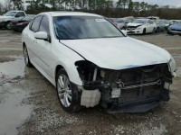 2008 INFINITI M45 BASE JNKBY01E78M500509